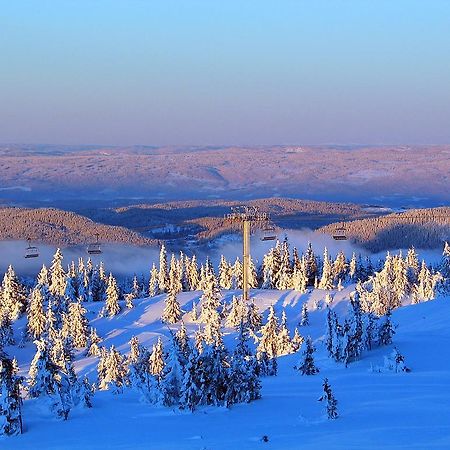 Sjusjoen Hytteutleie As Exterior photo