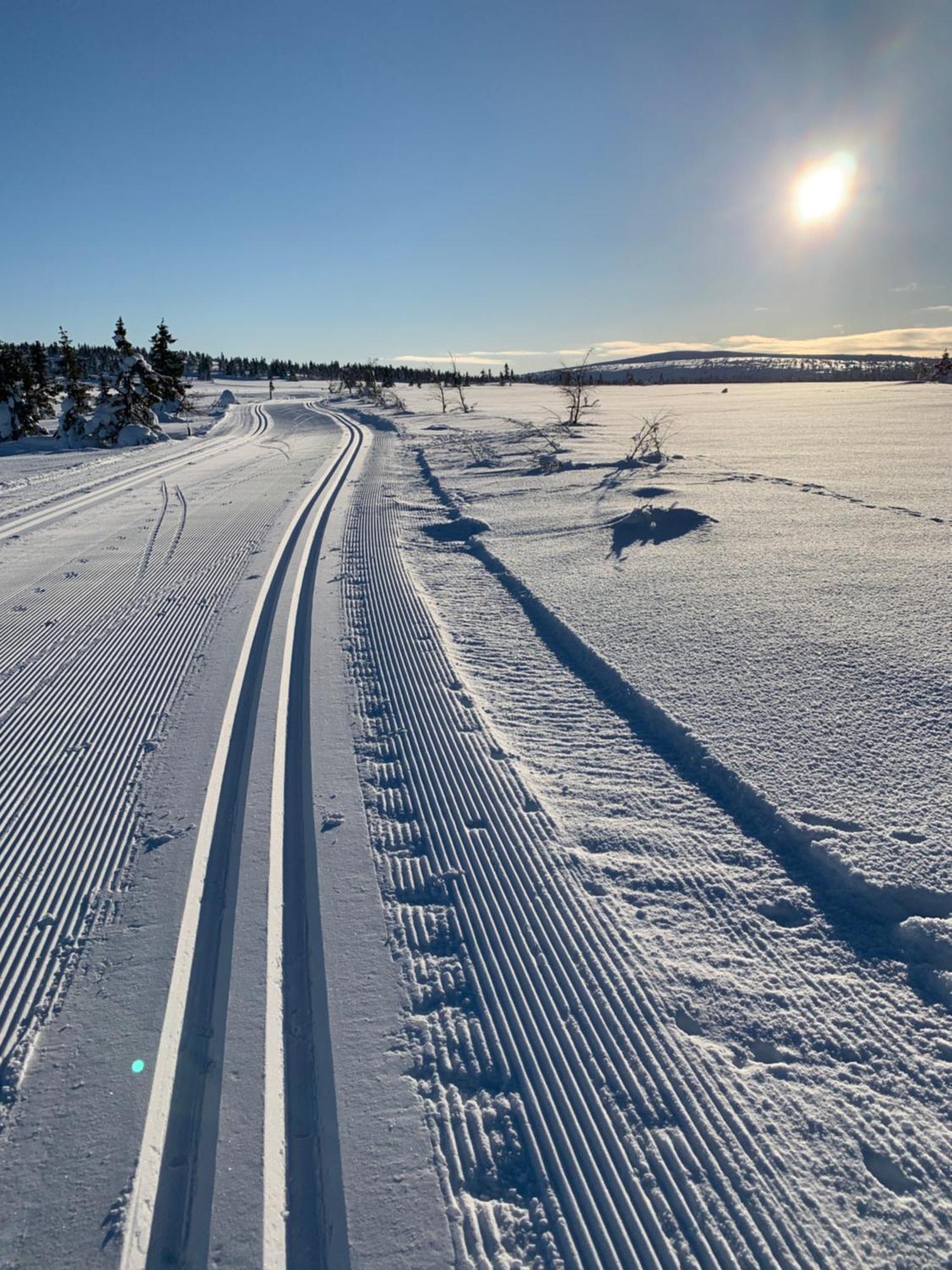Sjusjoen Hytteutleie As Exterior photo