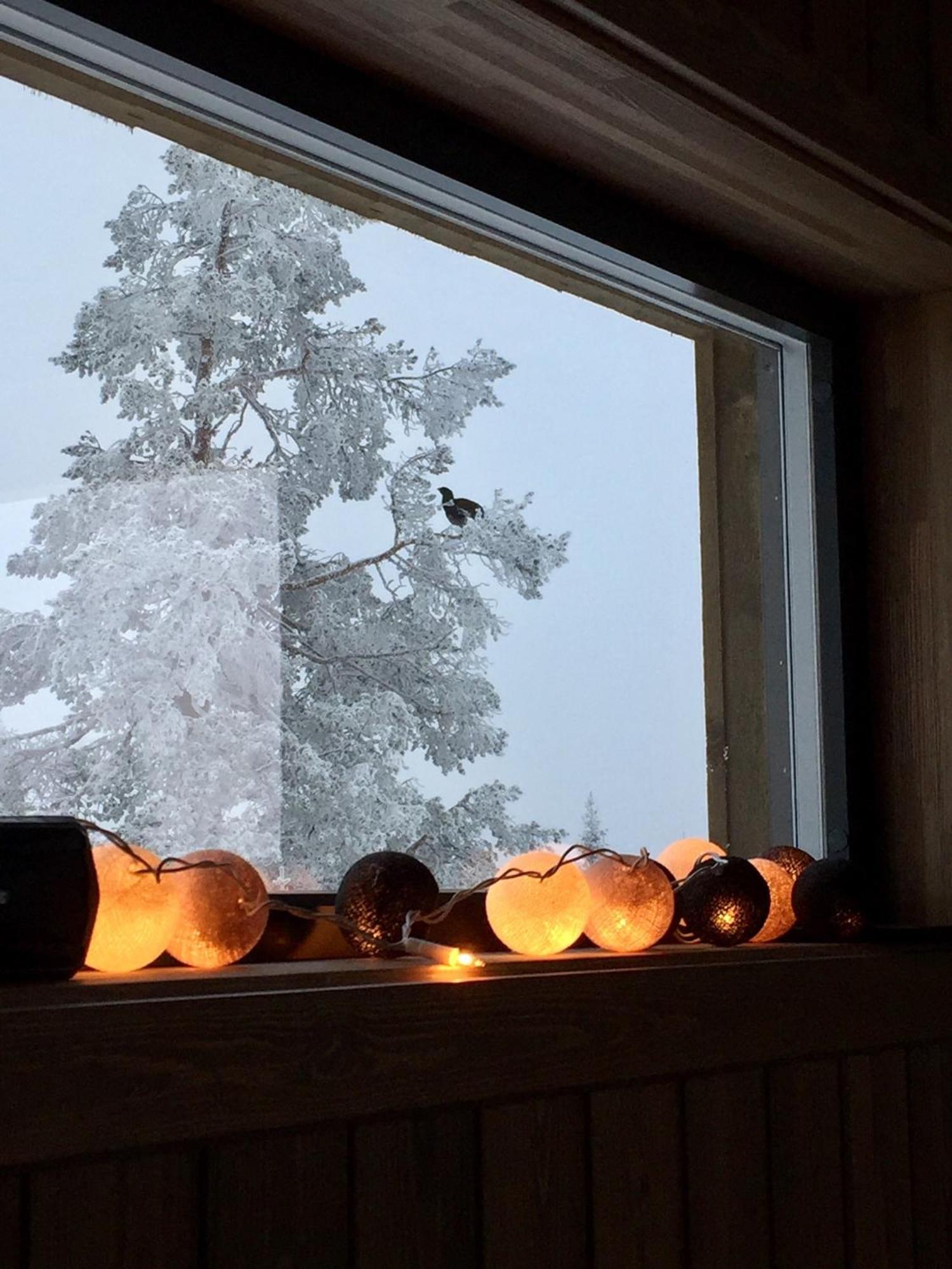 Sjusjoen Hytteutleie As Exterior photo